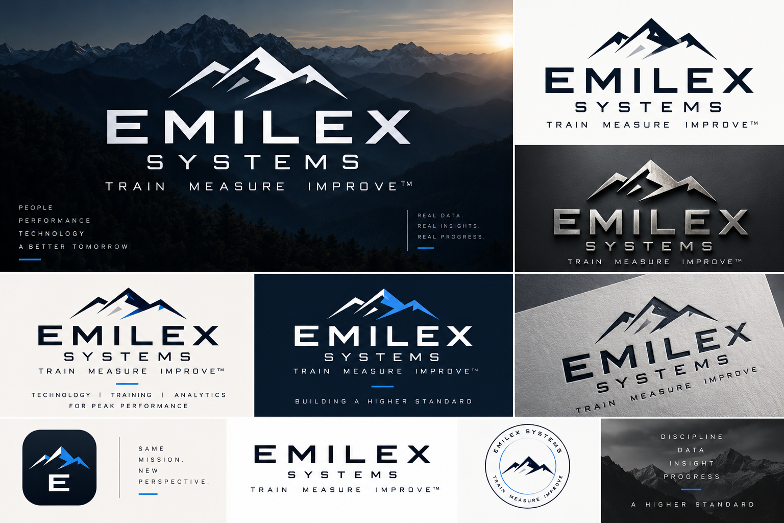 Emilex Systems mountain logo